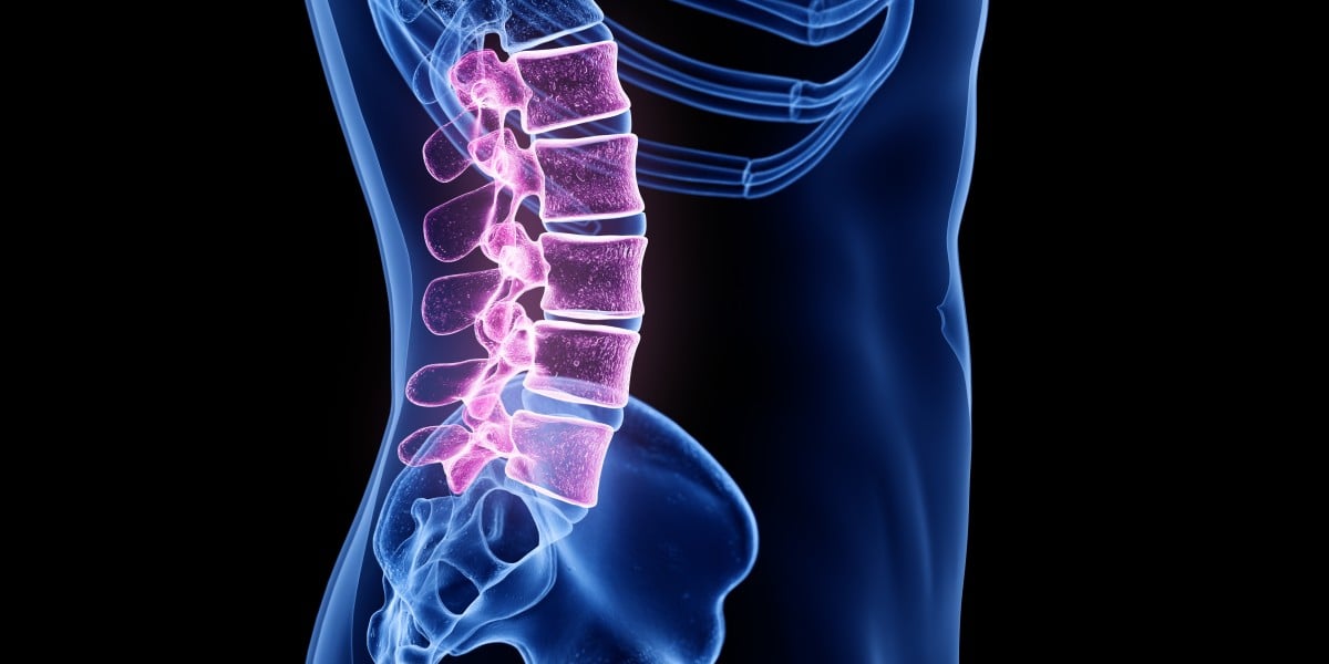 lumbar region of back